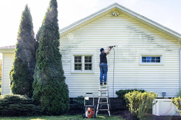 Best House Pressure Washing  in Sansom Park, TX